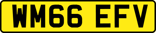 WM66EFV