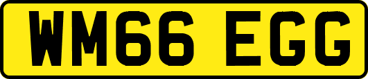 WM66EGG