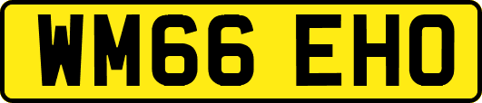 WM66EHO