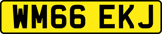 WM66EKJ