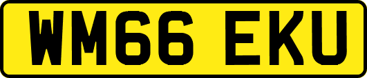 WM66EKU