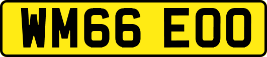 WM66EOO
