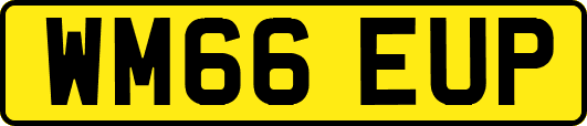 WM66EUP