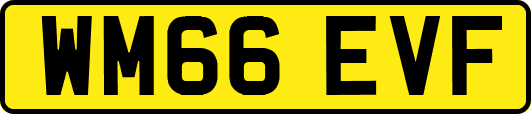 WM66EVF