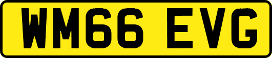 WM66EVG
