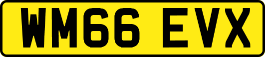 WM66EVX