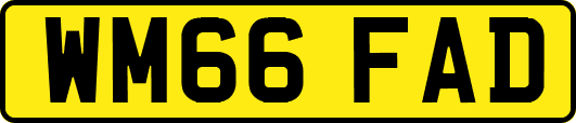 WM66FAD