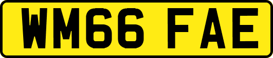 WM66FAE