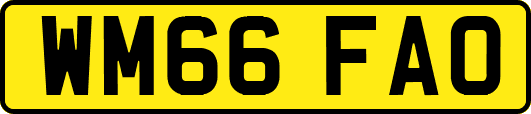 WM66FAO