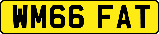 WM66FAT