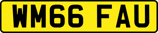 WM66FAU