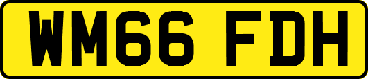 WM66FDH