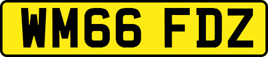 WM66FDZ