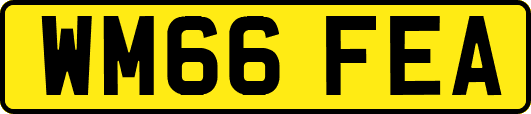 WM66FEA