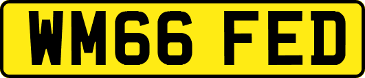 WM66FED