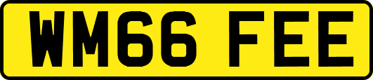 WM66FEE