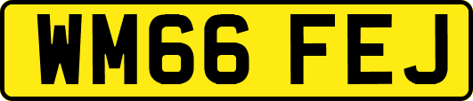 WM66FEJ