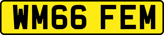 WM66FEM