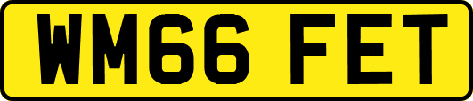 WM66FET