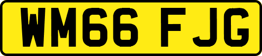 WM66FJG