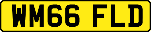 WM66FLD