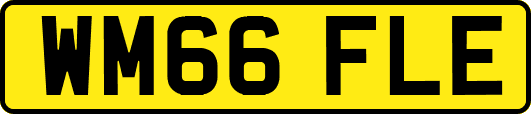 WM66FLE