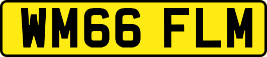 WM66FLM