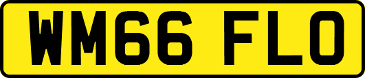 WM66FLO