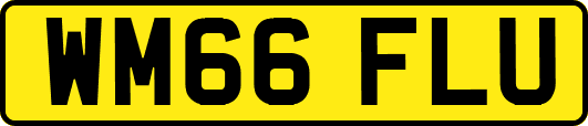 WM66FLU