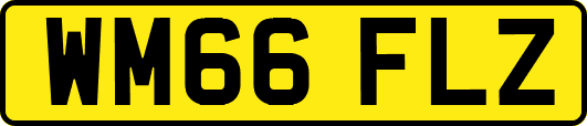 WM66FLZ