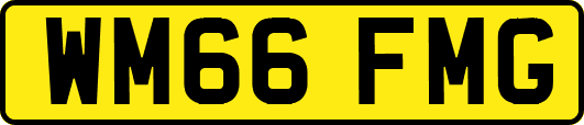 WM66FMG