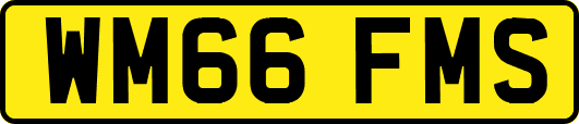 WM66FMS