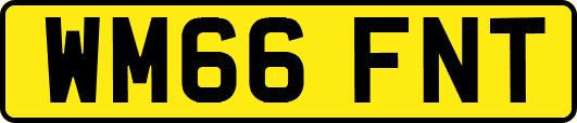 WM66FNT