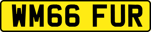 WM66FUR