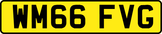 WM66FVG