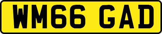 WM66GAD