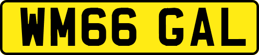 WM66GAL