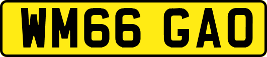 WM66GAO