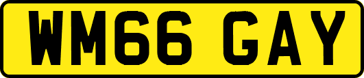 WM66GAY