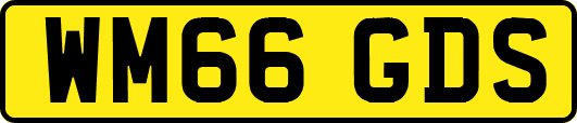 WM66GDS
