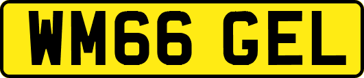 WM66GEL