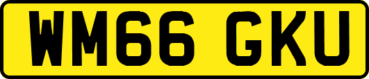 WM66GKU
