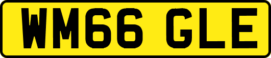 WM66GLE