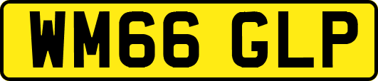 WM66GLP