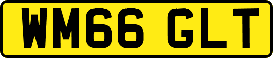 WM66GLT