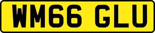 WM66GLU