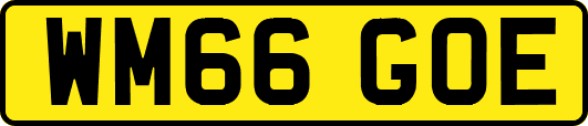 WM66GOE