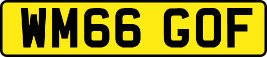 WM66GOF