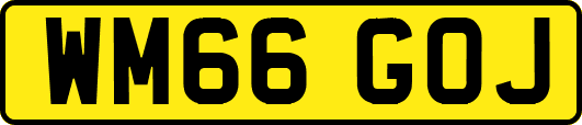 WM66GOJ