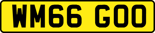 WM66GOO
